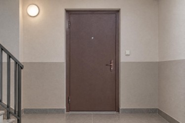 Дверь Входная Сова металл/дсп