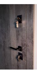 Входные двери Стелс зеркало 172 Secret