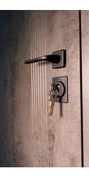 Входные двери Стелс зеркало 172 Secret